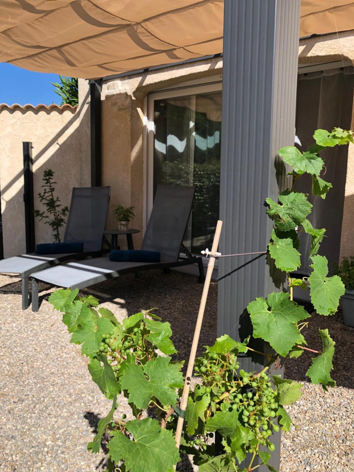 Marie Jean Chambre D'Hotes & Gite Oupia Luaran gambar